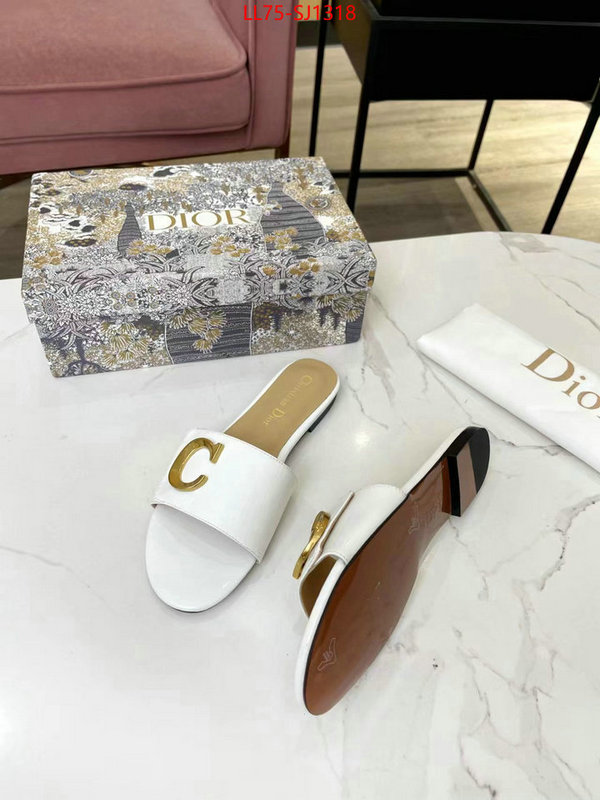 Women Shoes-Dior knockoff ID: SJ1318 $: 75USD