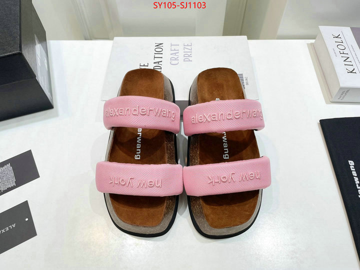 Women Shoes-Alexander Wang 7 star quality designer replica ID: SJ1103 $: 105USD