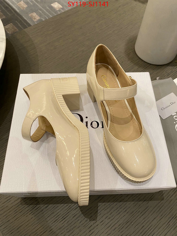 Women Shoes-Dior highest quality replica ID: SJ1141 $: 119USD