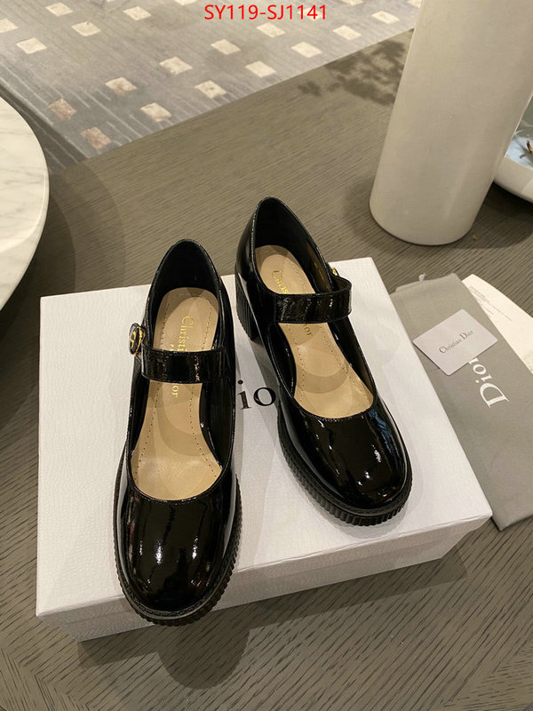 Women Shoes-Dior highest quality replica ID: SJ1141 $: 119USD