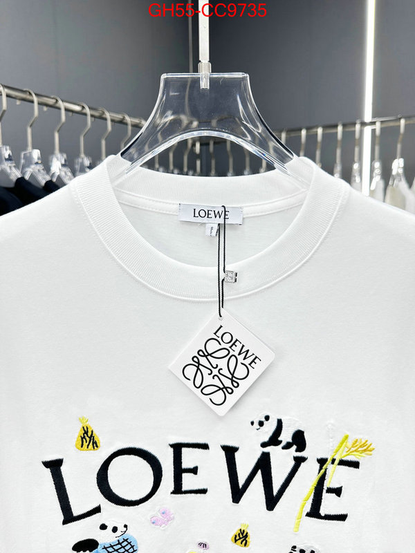 Clothing-Loewe wholesale sale ID: CC9735 $: 55USD