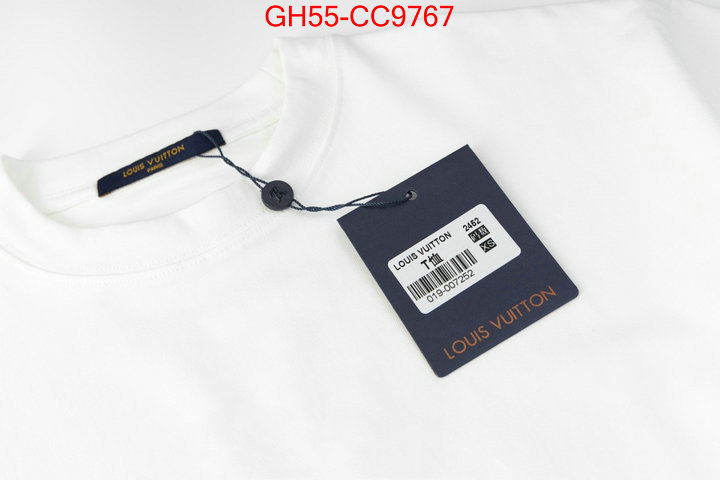 Clothing-LV wholesale replica ID: CC9767 $: 55USD