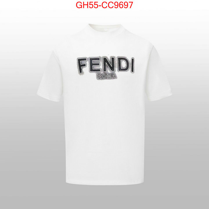 Clothing-Fendi 2024 aaaaa replica customize ID: CC9697 $: 55USD