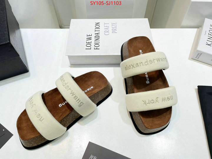 Women Shoes-Alexander Wang 7 star quality designer replica ID: SJ1103 $: 105USD