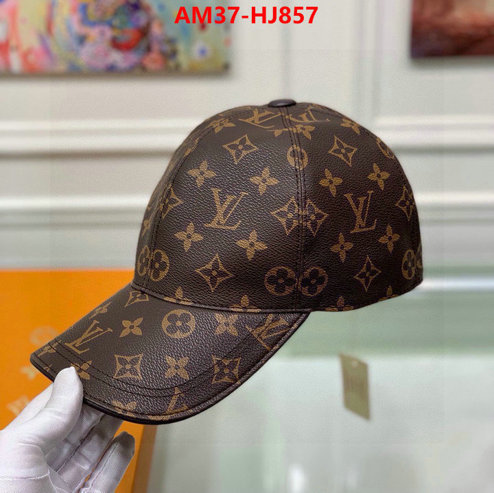 Cap(Hat)-LV copy ID: HJ857 $: 37USD