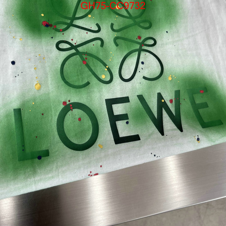 Clothing-Loewe fashion replica ID: CC9732 $: 75USD