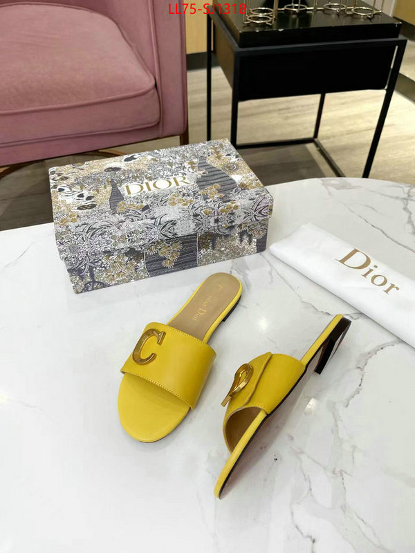 Women Shoes-Dior knockoff ID: SJ1318 $: 75USD