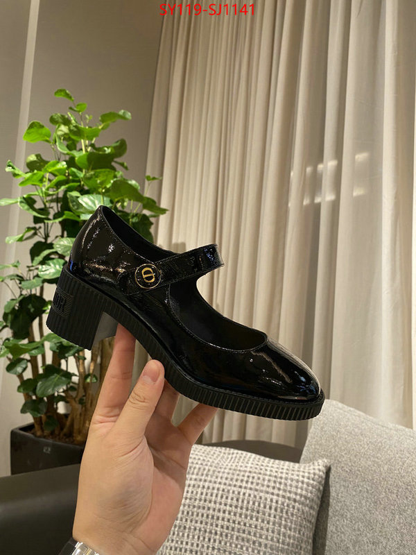 Women Shoes-Dior highest quality replica ID: SJ1141 $: 119USD