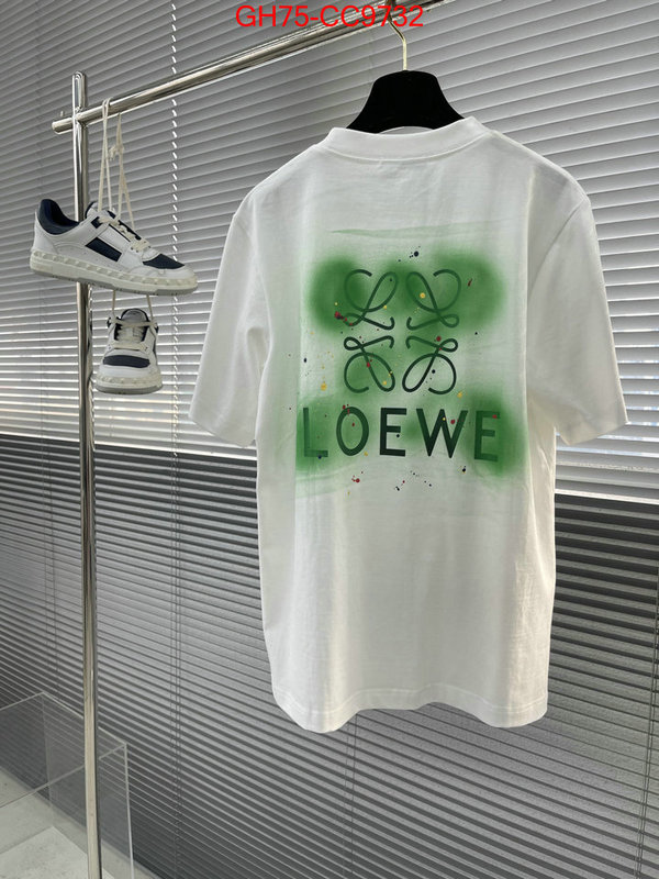 Clothing-Loewe fashion replica ID: CC9732 $: 75USD