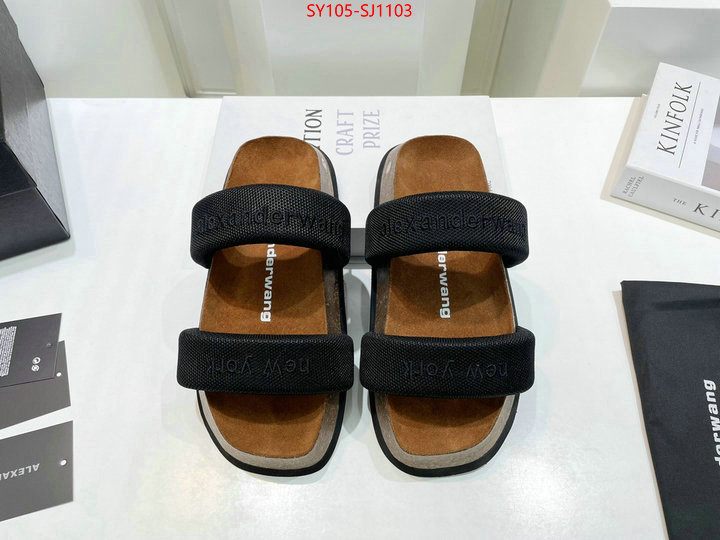 Women Shoes-Alexander Wang 7 star quality designer replica ID: SJ1103 $: 105USD