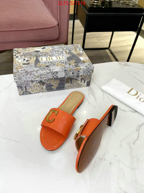 Women Shoes-Dior knockoff ID: SJ1318 $: 75USD