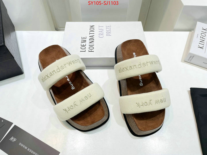 Women Shoes-Alexander Wang 7 star quality designer replica ID: SJ1103 $: 105USD