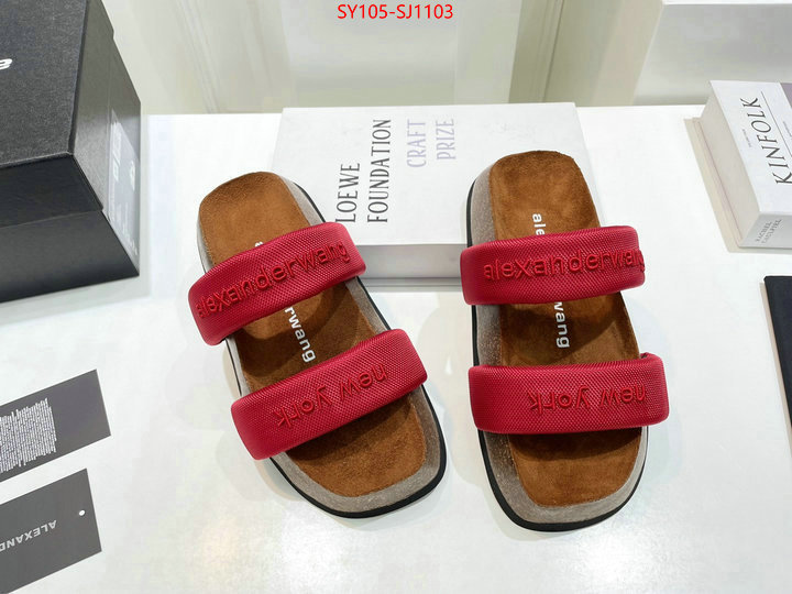 Women Shoes-Alexander Wang 7 star quality designer replica ID: SJ1103 $: 105USD