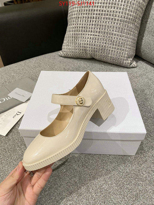 Women Shoes-Dior highest quality replica ID: SJ1141 $: 119USD