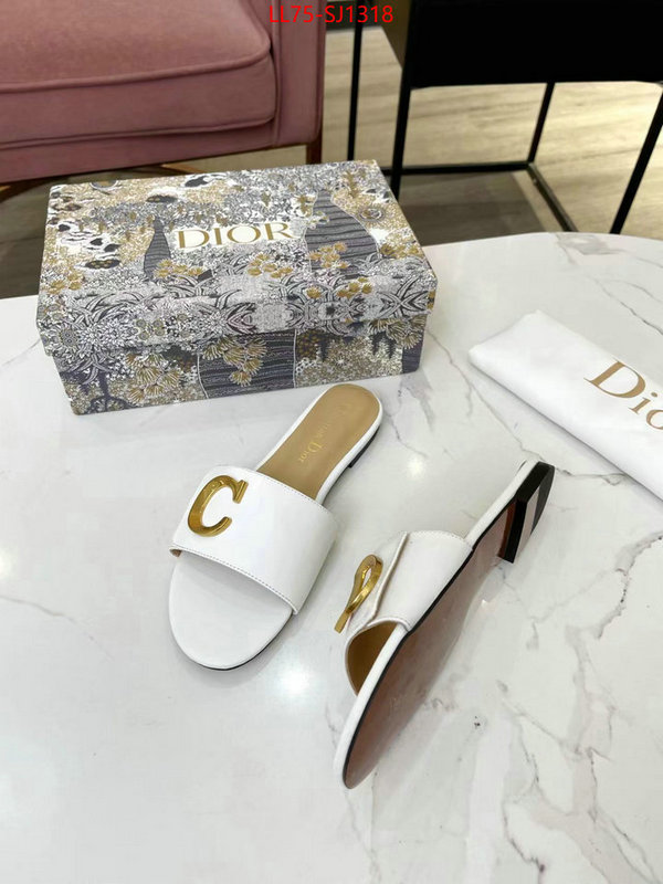 Women Shoes-Dior knockoff ID: SJ1318 $: 75USD