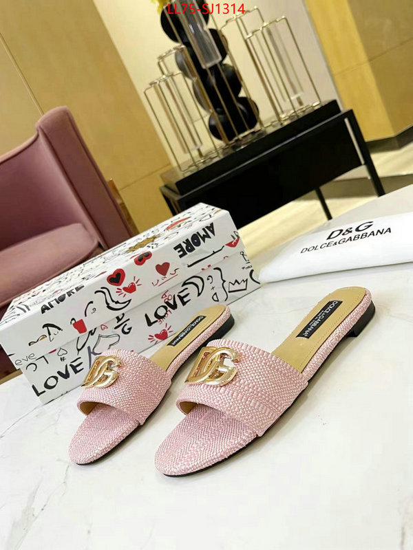 Women Shoes-DG best luxury replica ID: SJ1314 $: 75USD