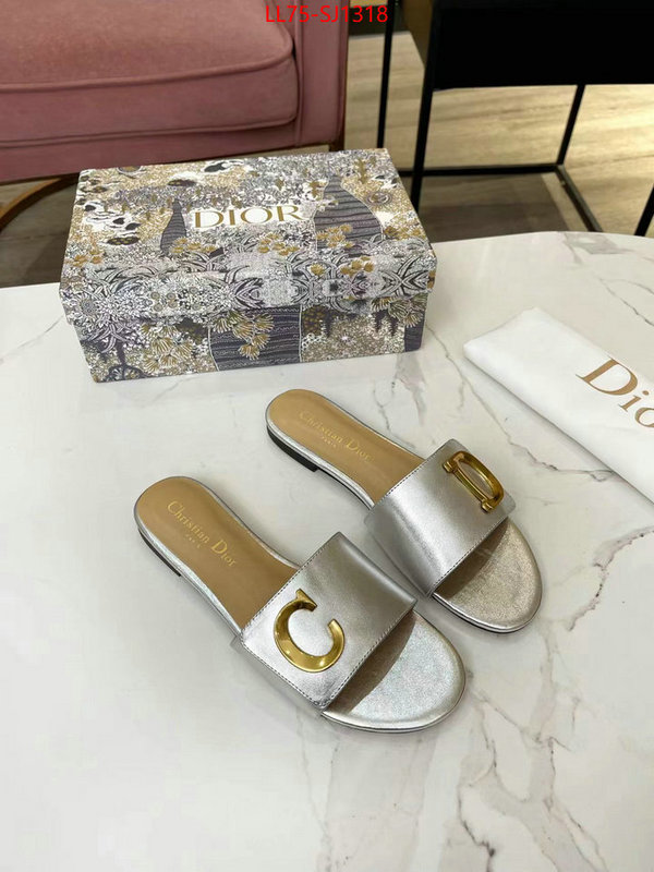 Women Shoes-Dior knockoff ID: SJ1318 $: 75USD