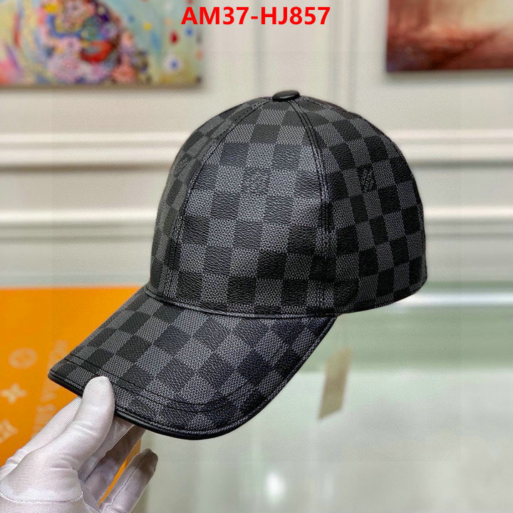 Cap(Hat)-LV copy ID: HJ857 $: 37USD