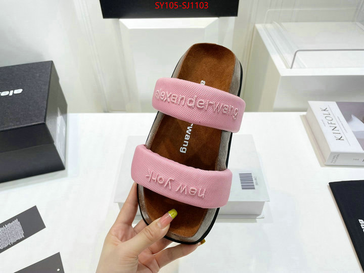 Women Shoes-Alexander Wang 7 star quality designer replica ID: SJ1103 $: 105USD