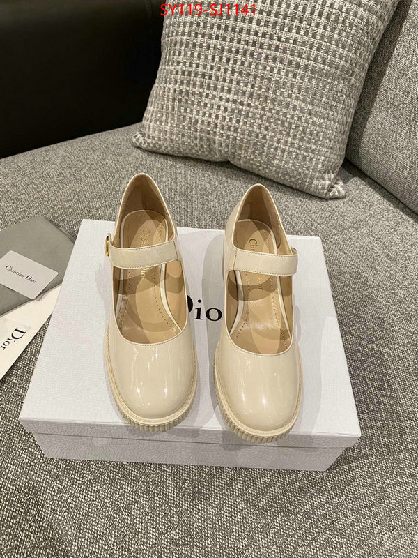 Women Shoes-Dior highest quality replica ID: SJ1141 $: 119USD