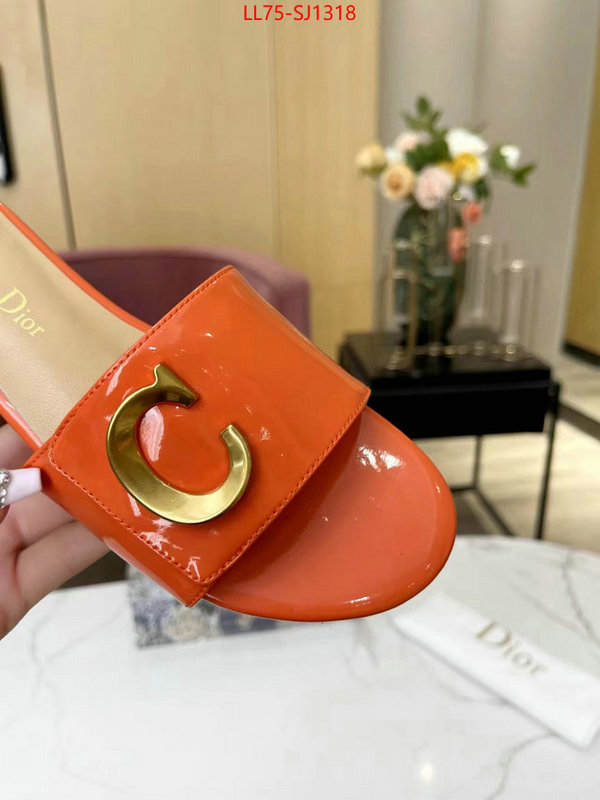 Women Shoes-Dior knockoff ID: SJ1318 $: 75USD