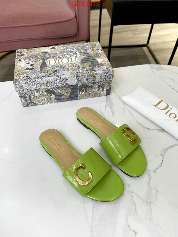 Women Shoes-Dior knockoff ID: SJ1318 $: 75USD