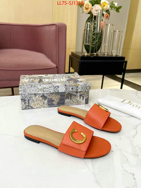 Women Shoes-Dior knockoff ID: SJ1318 $: 75USD