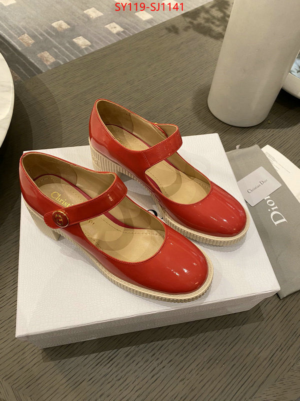 Women Shoes-Dior highest quality replica ID: SJ1141 $: 119USD