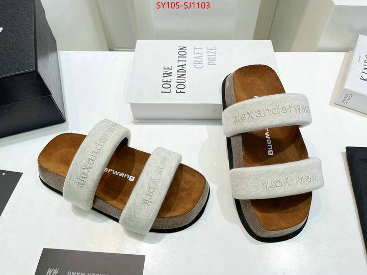 Women Shoes-Alexander Wang 7 star quality designer replica ID: SJ1103 $: 105USD