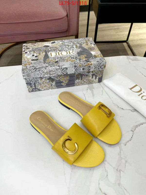 Women Shoes-Dior knockoff ID: SJ1318 $: 75USD