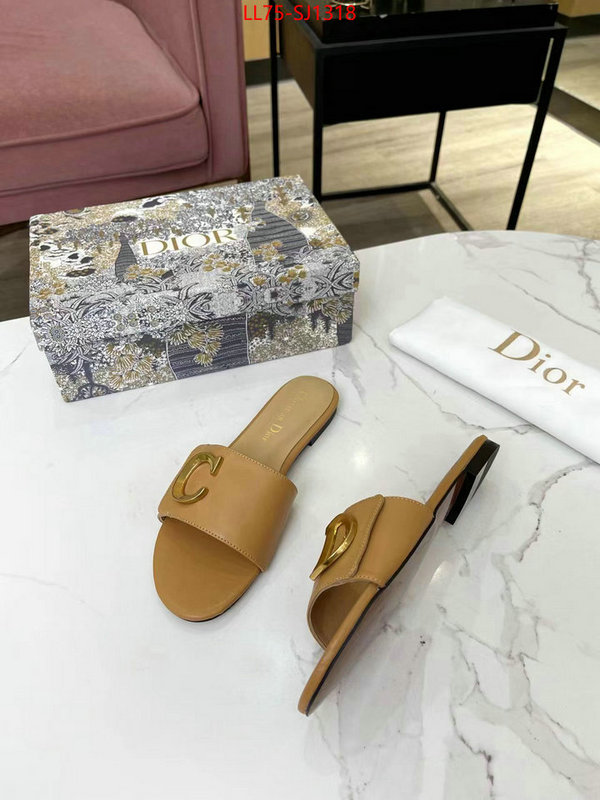 Women Shoes-Dior knockoff ID: SJ1318 $: 75USD