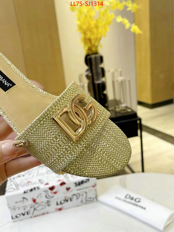 Women Shoes-DG best luxury replica ID: SJ1314 $: 75USD