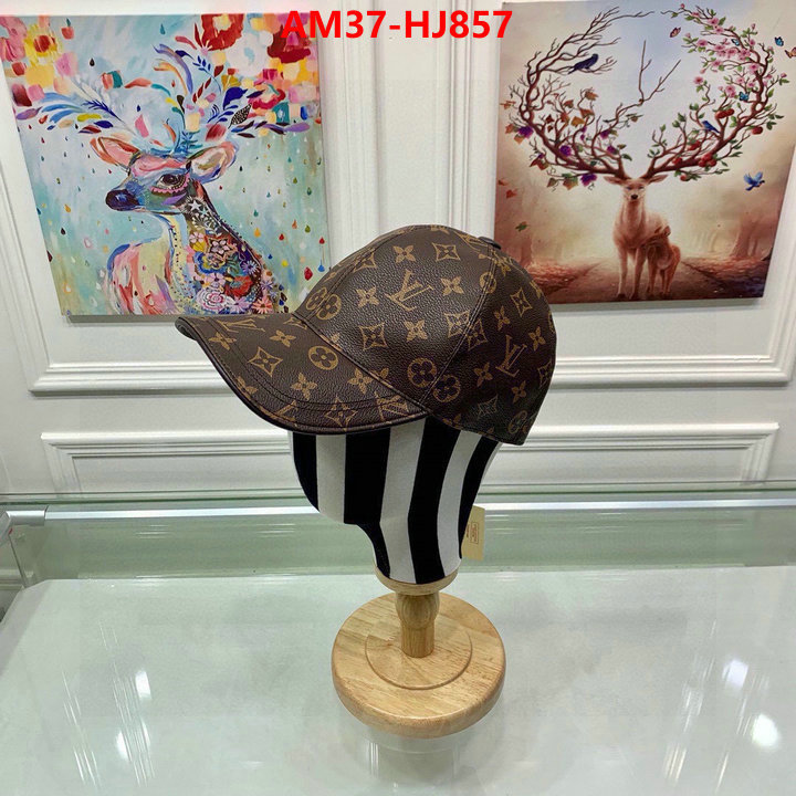 Cap(Hat)-LV copy ID: HJ857 $: 37USD