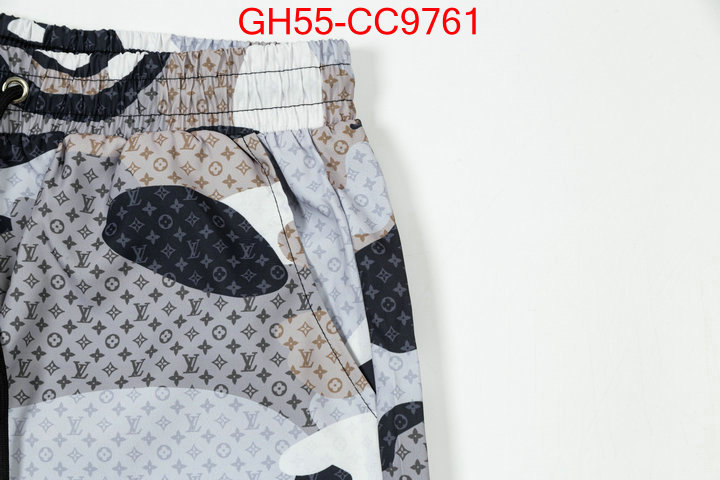 Clothing-LV the quality replica ID: CC9761 $: 55USD