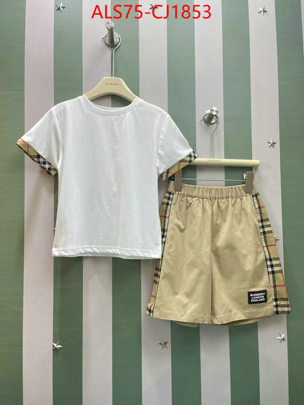 Kids clothing-Burberry from china 2024 ID: CJ1853 $: 75USD