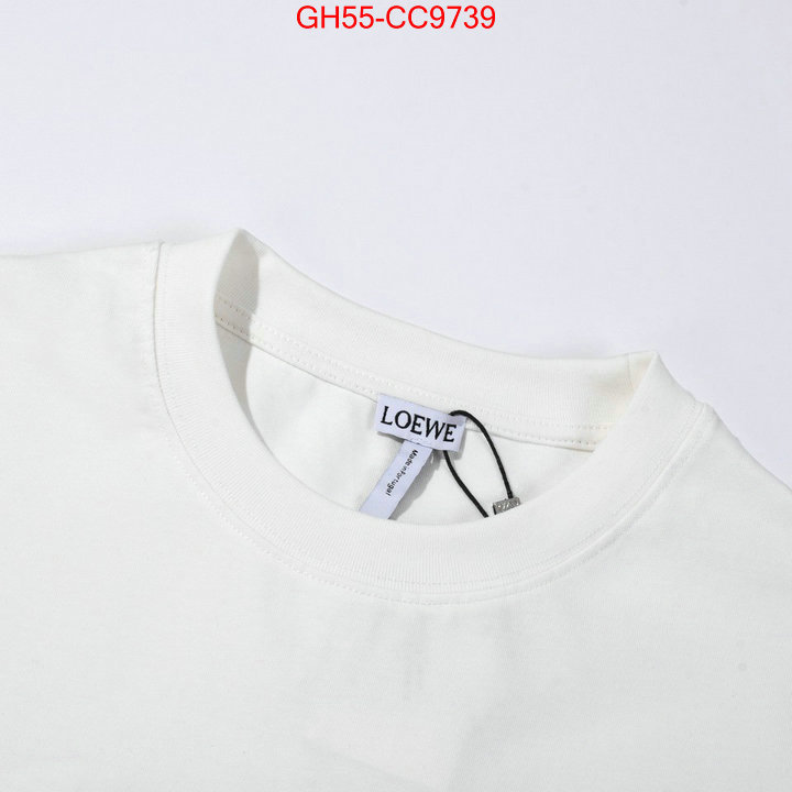 Clothing-Loewe sale outlet online ID: CC9739 $: 55USD