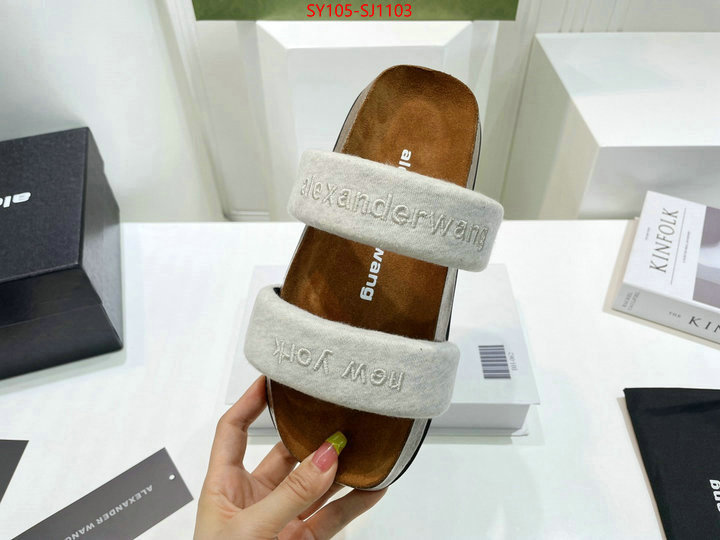 Women Shoes-Alexander Wang 7 star quality designer replica ID: SJ1103 $: 105USD