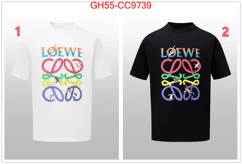 Clothing-Loewe sale outlet online ID: CC9739 $: 55USD