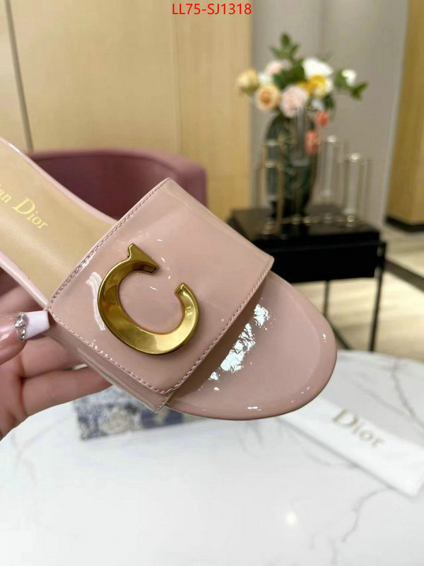 Women Shoes-Dior knockoff ID: SJ1318 $: 75USD