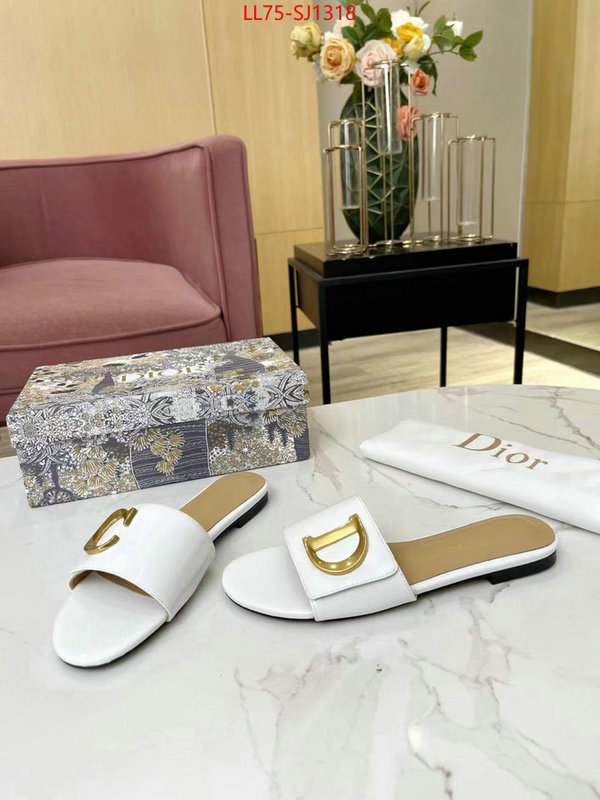 Women Shoes-Dior knockoff ID: SJ1318 $: 75USD