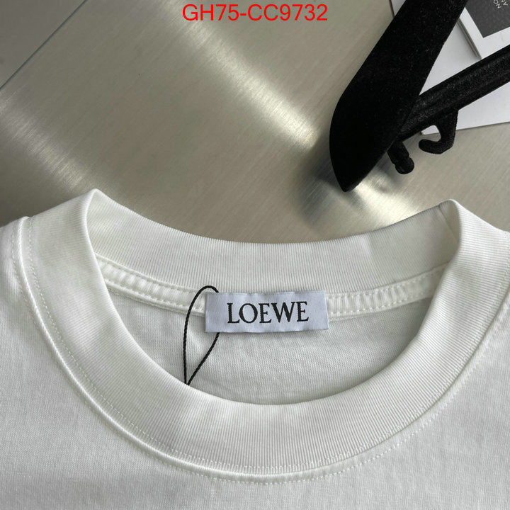 Clothing-Loewe fashion replica ID: CC9732 $: 75USD