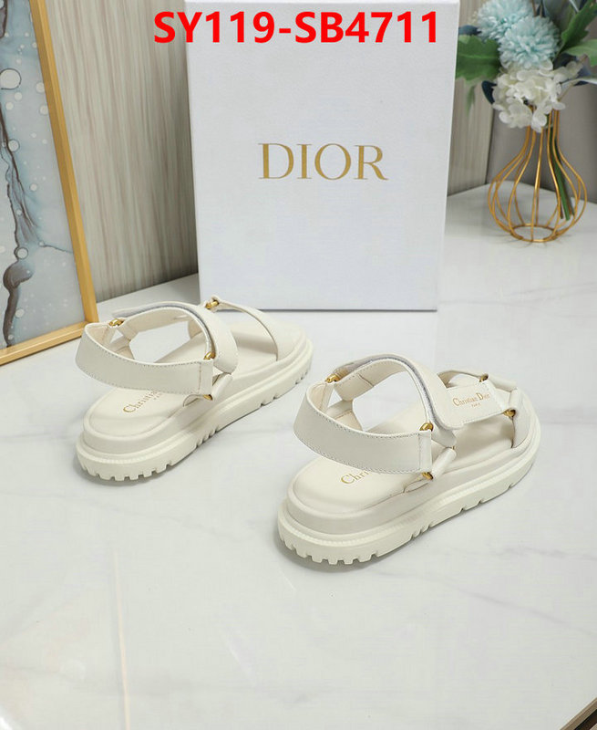 Women Shoes-Dior the best affordable ID: SB4711 $: 119USD