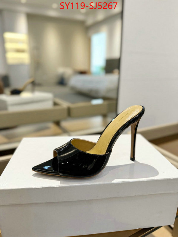 Women Shoes-Gianvito Rossi supplier in china ID: SJ5267 $: 119USD