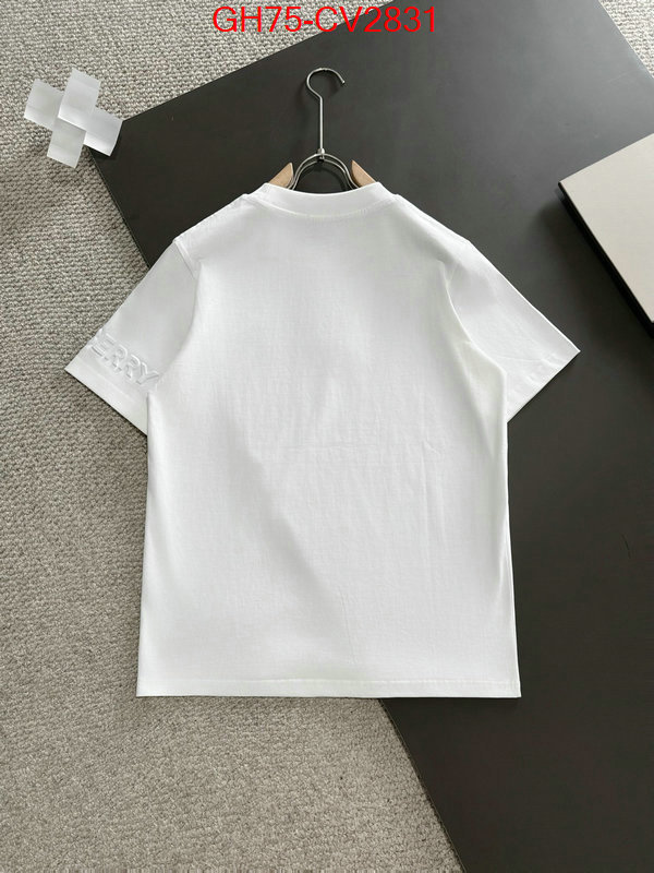 Clothing-Burberry designer 1:1 replica ID: CV2831 $: 75USD