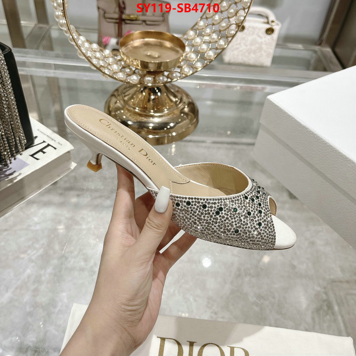 Women Shoes-Dior wholesale imitation designer replicas ID: SB4710 $: 119USD