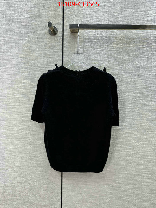 Clothing-Valentino wholesale replica shop ID: CJ3665 $: 109USD