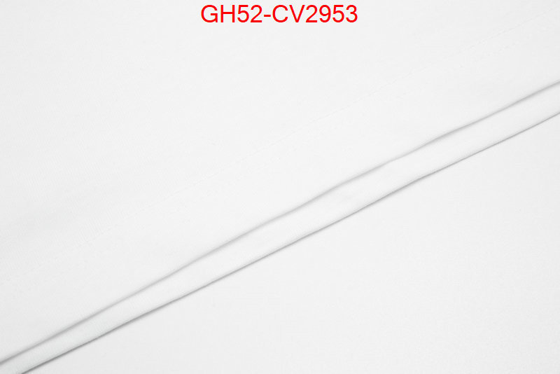 Clothing-LV sell online ID: CV2953 $: 52USD