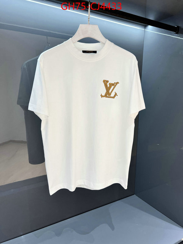 Clothing-LV fashion ID: CJ4433 $: 75USD