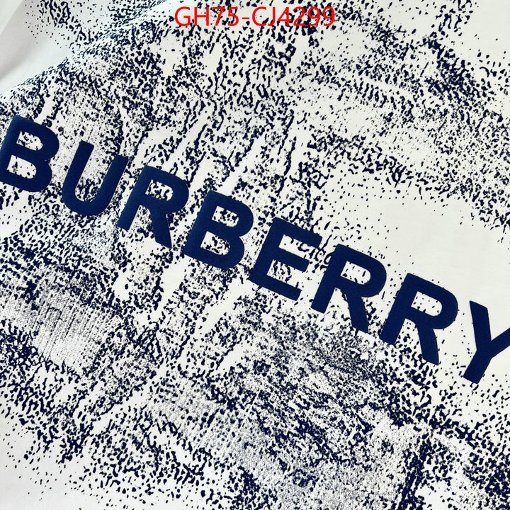 Clothing-Burberry the online shopping ID: CJ4299 $: 75USD