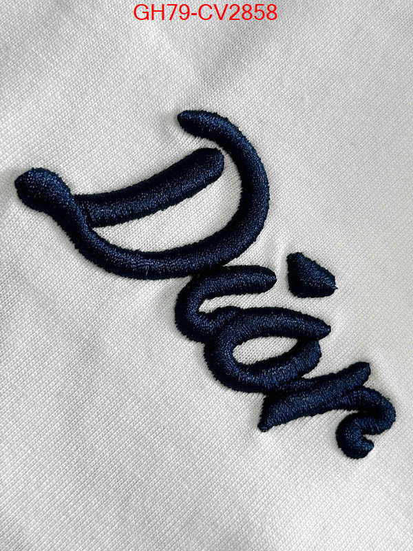Clothing-Dior customize best quality replica ID: CV2858 $: 79USD